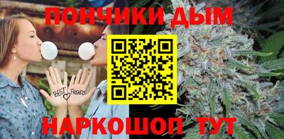 амф Сланцы