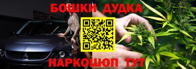 амф Сланцы