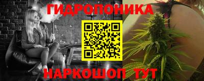 амф Сланцы