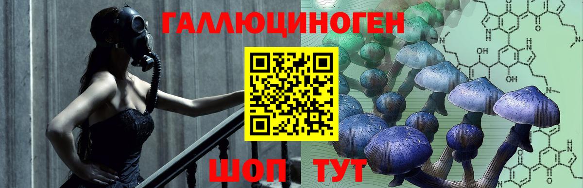Псилоцибиновые грибы ЛСД Рубцовск